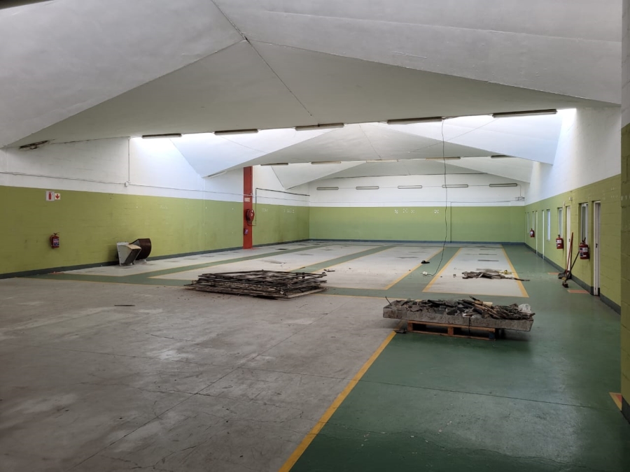 To Let Commercial Property for Rent in Beaconvale Western Cape